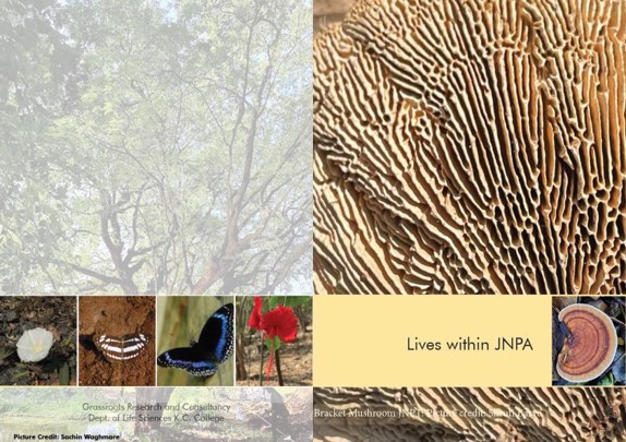 Lives within JNPA
